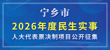 宁乡市关于公开征集2026年度民生实事 人大代表票决制项目的通告